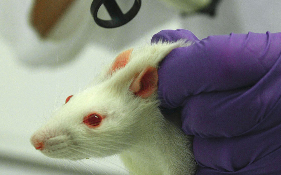 νέα-θεραπεία-για-αιματολογικό-καρκίν-2214517