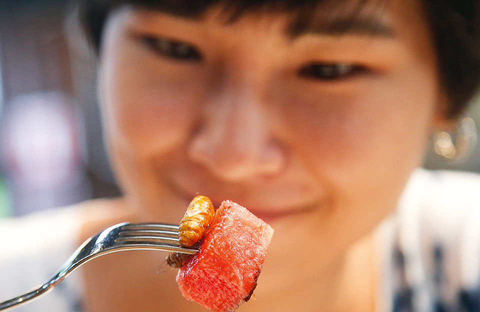 δείπνο-με-τα-σκαθάρια-2212253