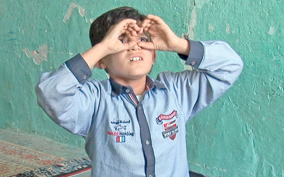 μια-ποιητικά-πολιτική-μπιενάλε-2215033