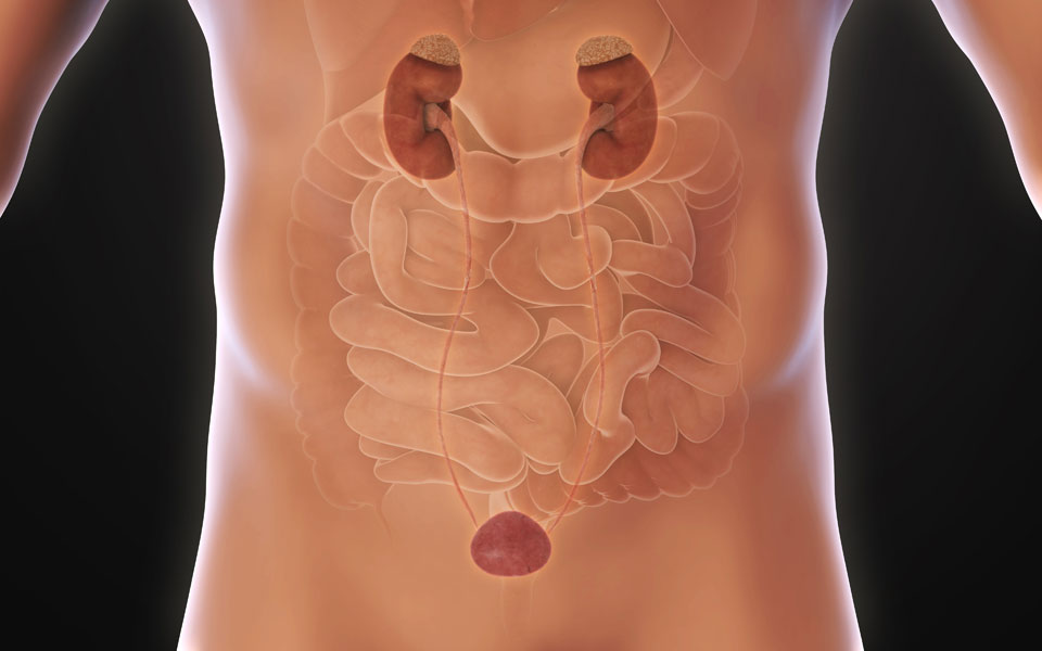 οριστική-λύση-στο-πρόβλημα-της-λιθίασ-2214163