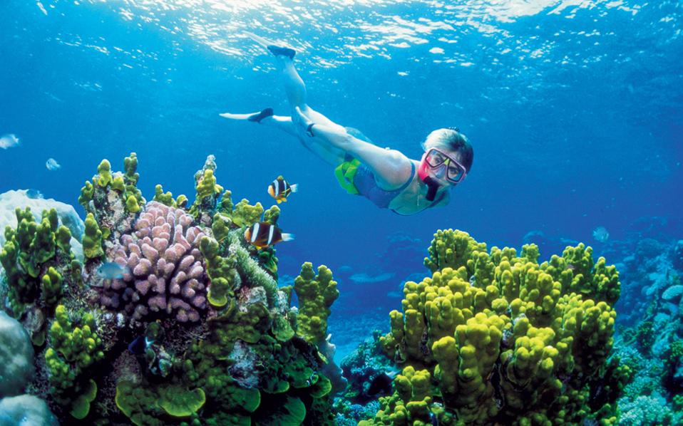 wwf-εξαιρετικά-σημαντική-η-μετατροπή-τω-2212468