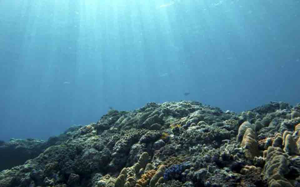 ενα-δισ-ευρώ-για-τις-θάλασσες-από-ιδιωτ-2212284