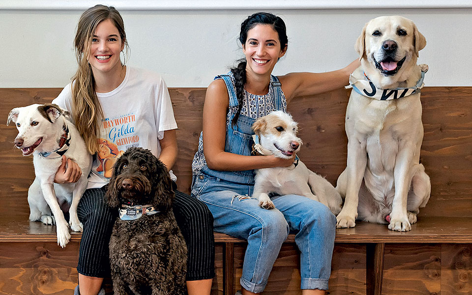 η-blue-η-yuki-και-ο-milou-2213353