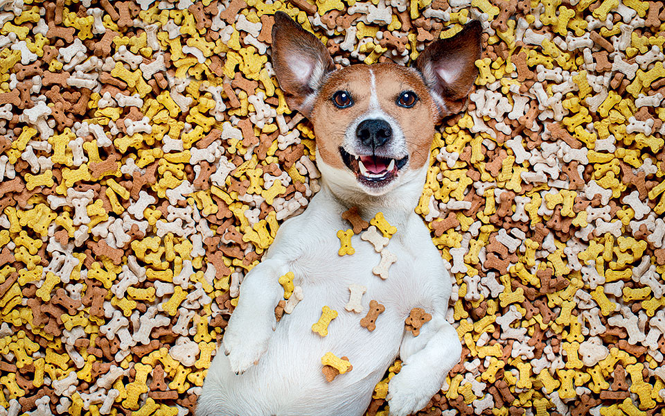 πόσο-ακριβό-είναι-το-φθηνό-2213360