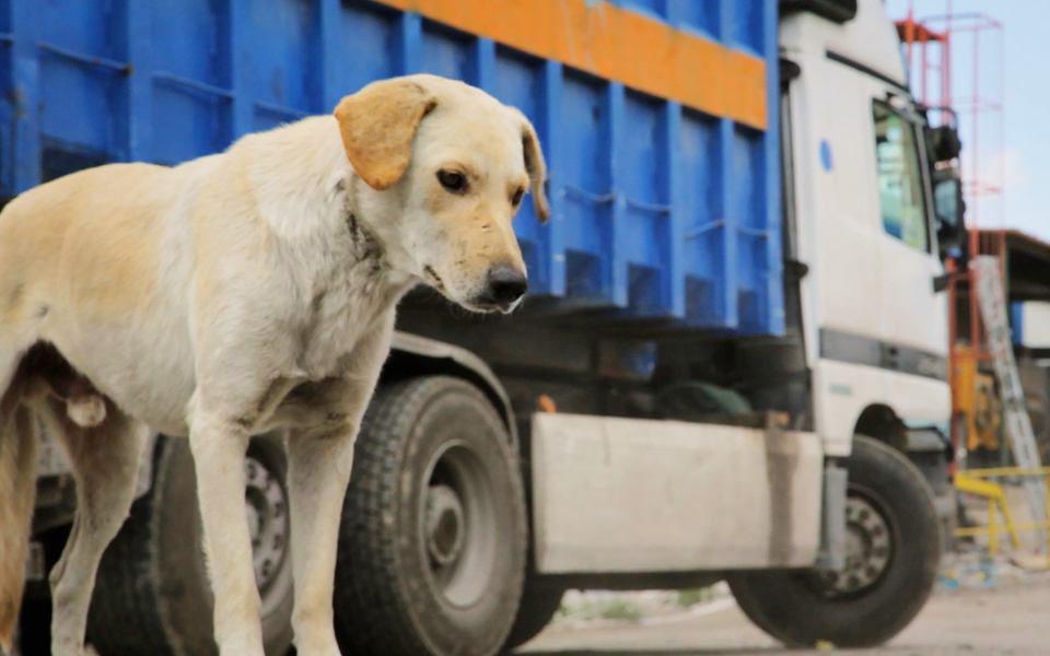η-πολιτιστική-ατζέντα-της-τετάρτης-2215791