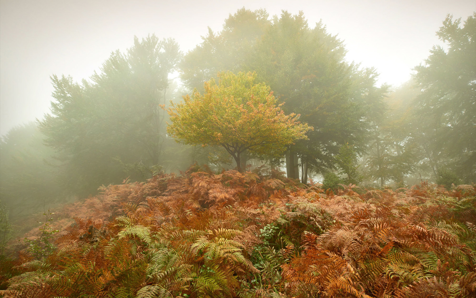 η-πολιτιστική-ατζέντα-της-πέμπτης-2215961