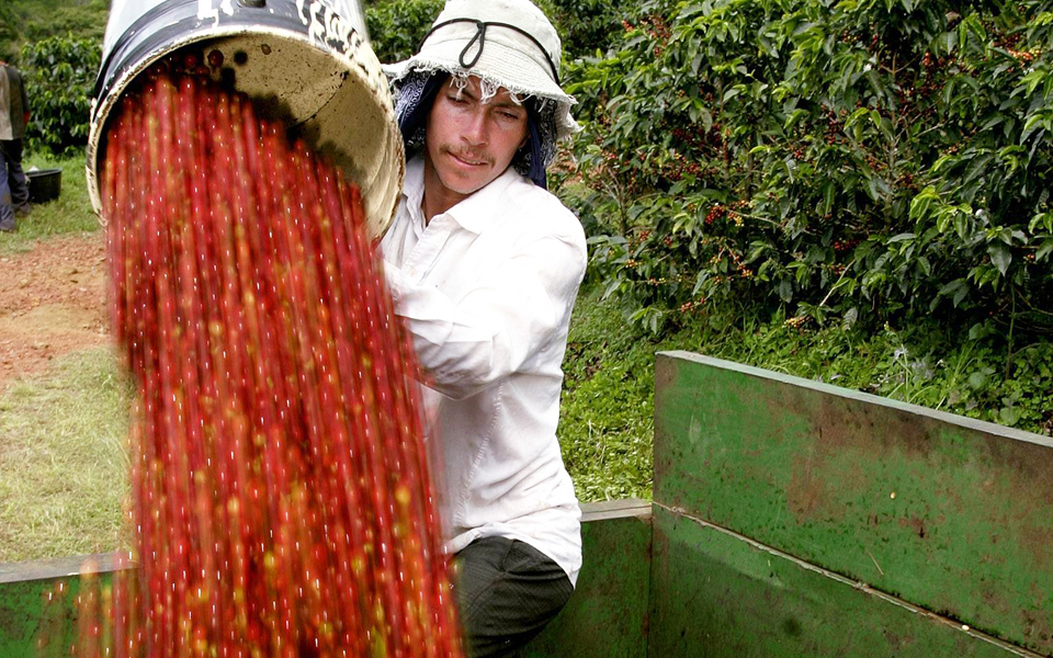 καφές-χορτοφαγία-κατά-καρδιακής-ανεπ-2218058