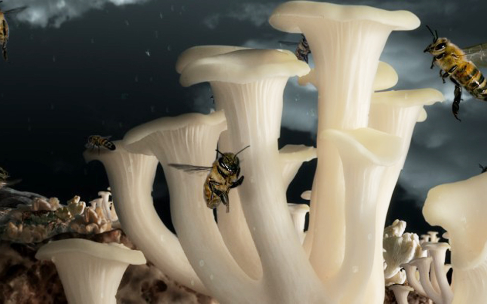 η-άλλη-πραγματικότητα-βρήκε-στέγη-2218499