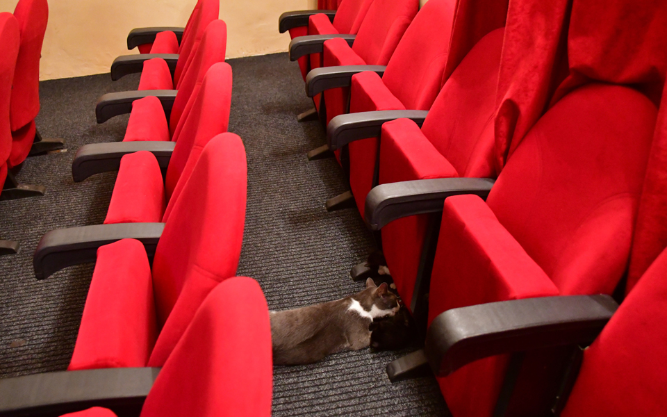 η-κρίση-και-οι-αγνώριστοι-σαίξπηρ-2220462