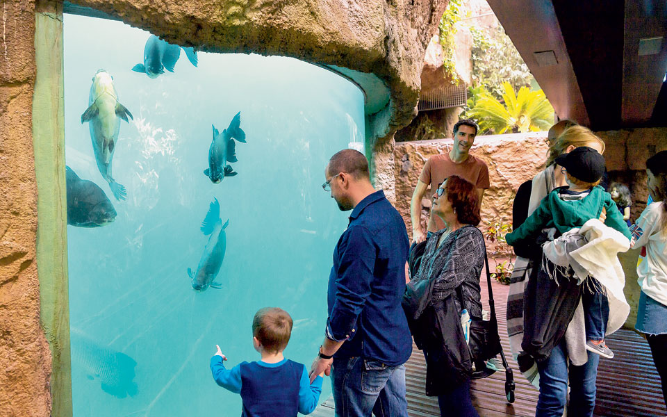 tαξιδιώτες-στον-χρόνο-2217202