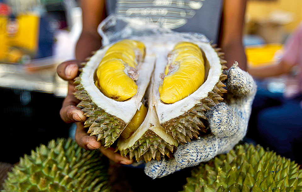 o-bασιλιάς-των-φρούτων-2220763