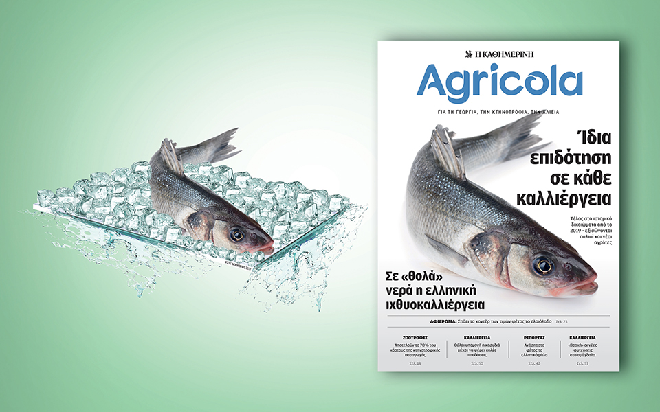 ο-αγρότης-στην-πρώτη-σελίδα-2217728