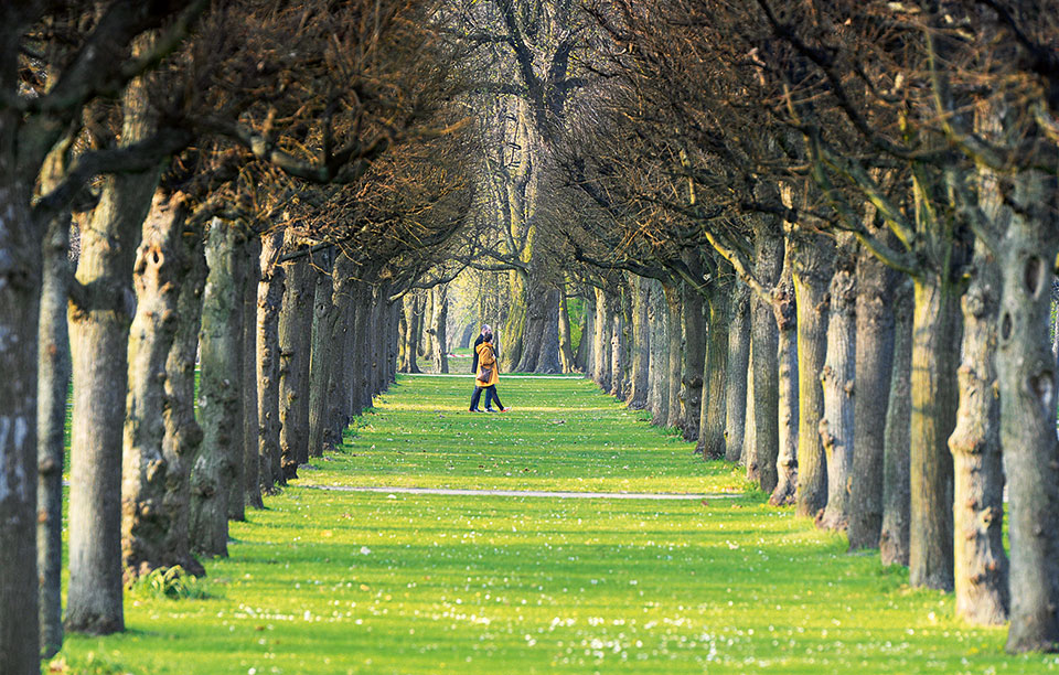 βερολίνο-by-locals-2220134