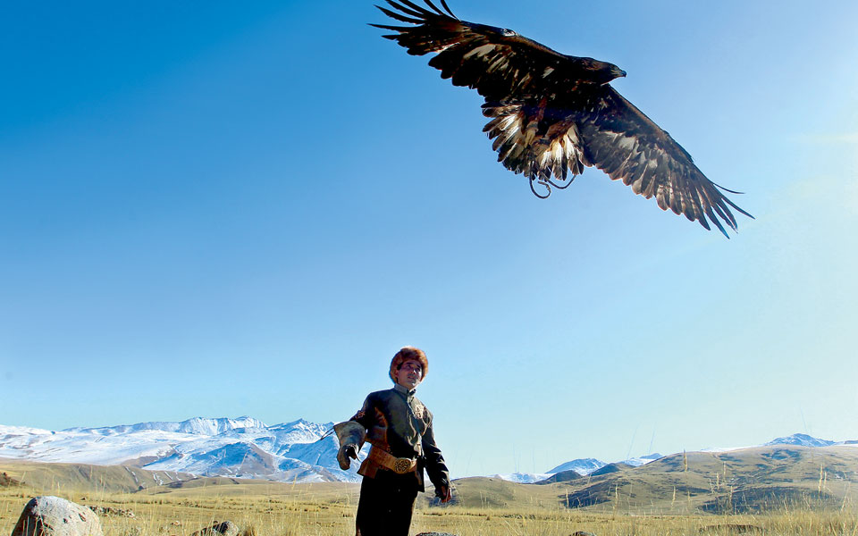 μαθητευόμενος-κυνηγός-2218903