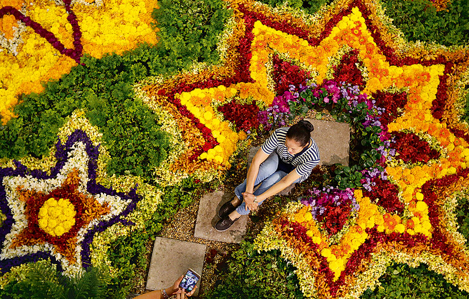 γιορτή-των-λουλουδιών-2220141