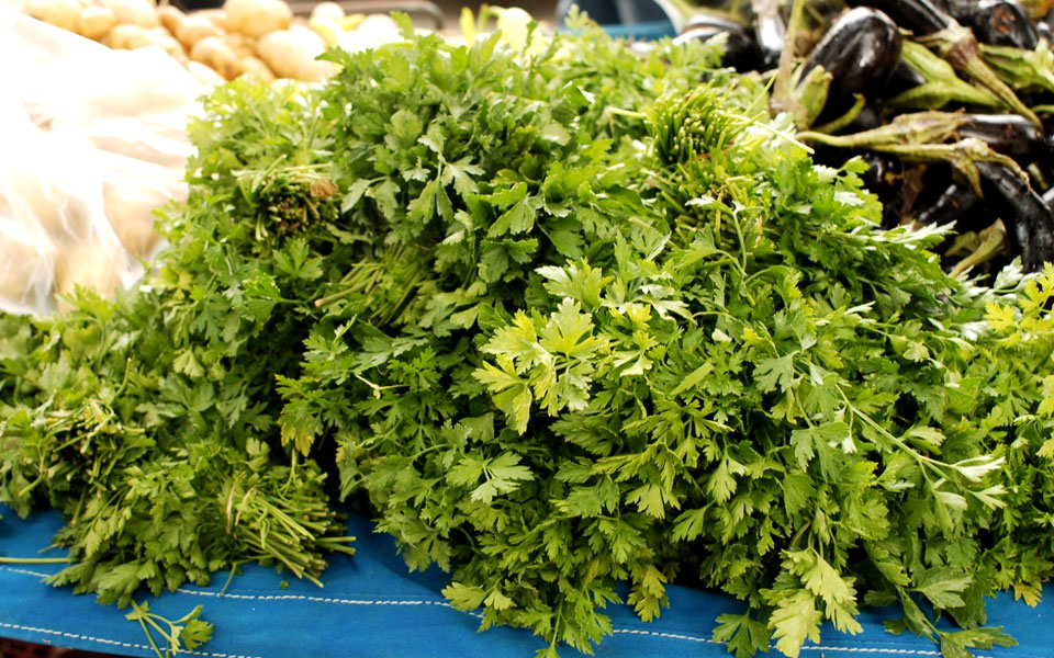 μαϊντανός-2220088