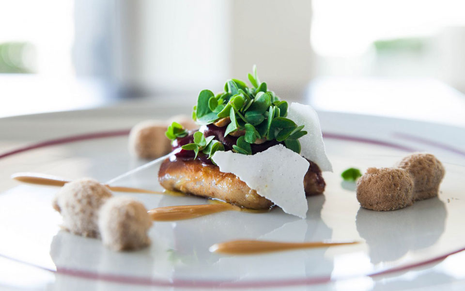 premiere-ελληνική-υψηλή-γαστρονομία-2216605