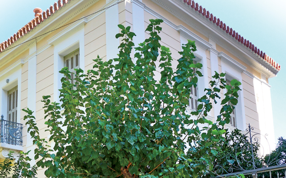 η-αθηναϊκή-ιστορία-του-διώροφου-νεοκλ-2216959