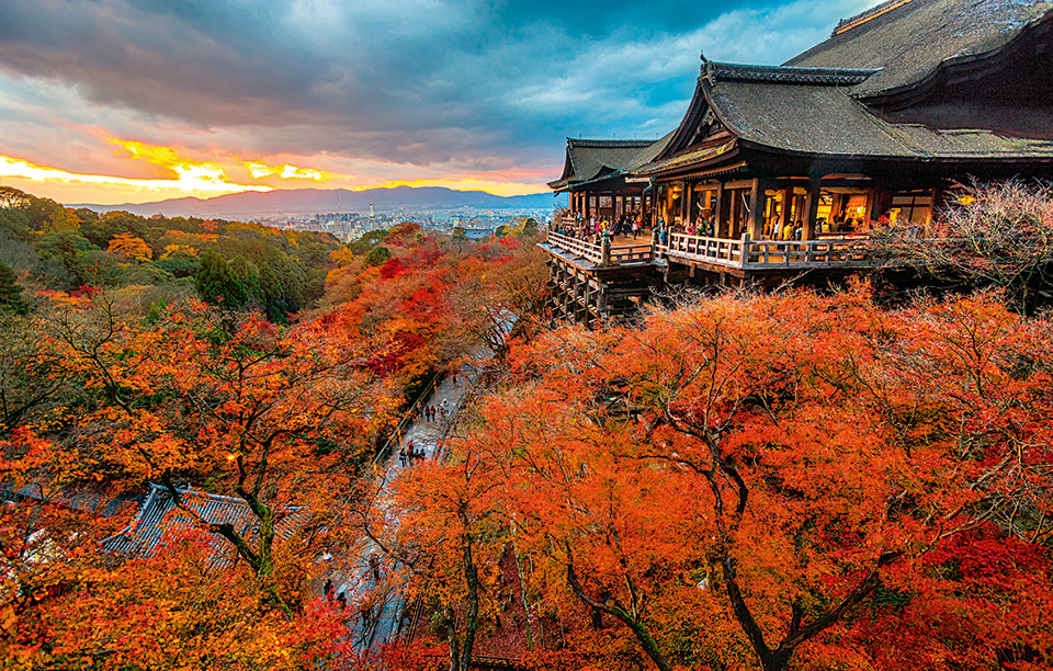 καμβάς-του-φθινοπώρου-2220760