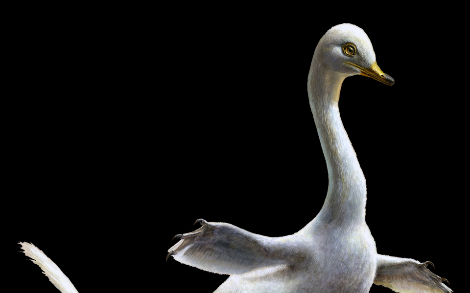 ενας-αμφίβιος-δεινόσαυρος-σαν-κύκνος-2222374