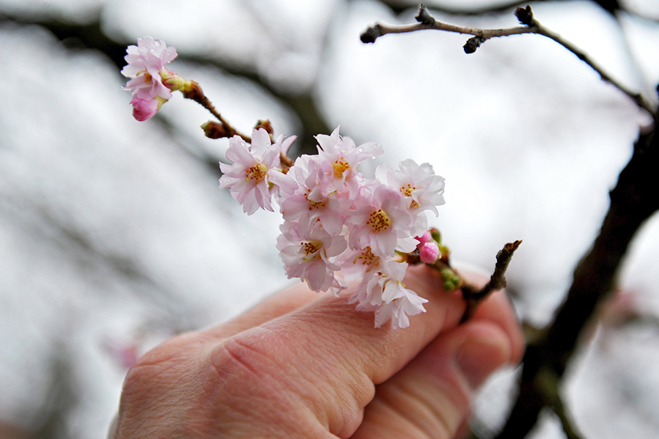 φωτογραφήματα-2225238