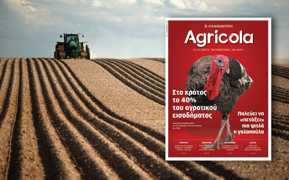 agricola-2223655