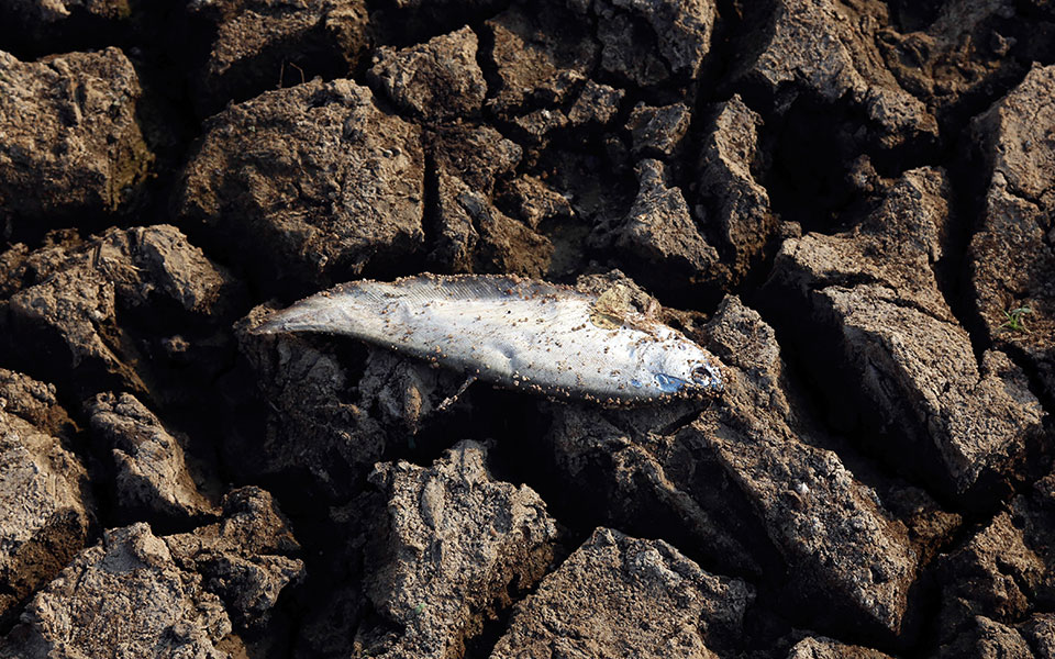 πώς-μπορεί-η-ε-ε-να-συμβάλλει-στο-τέλος-2224130