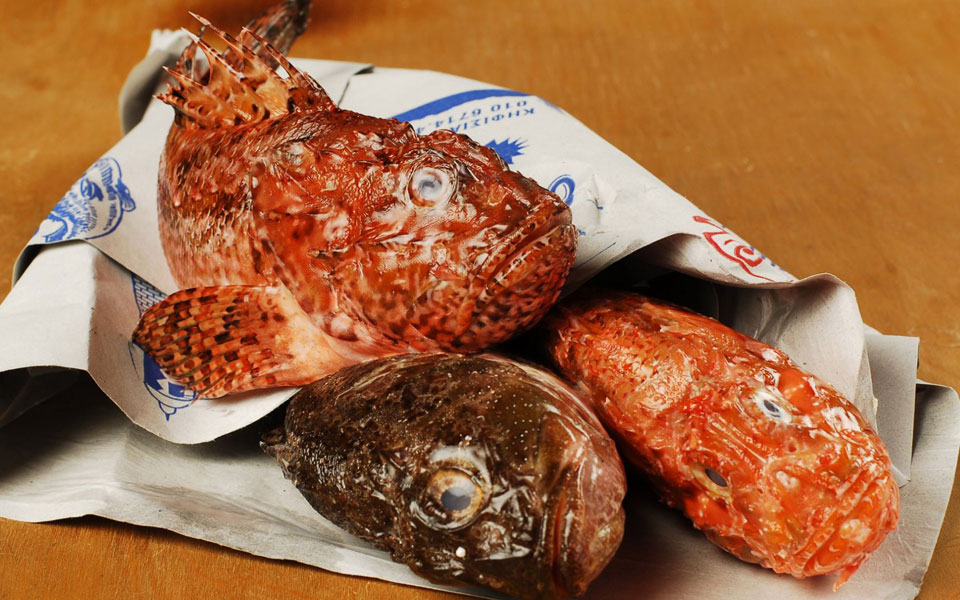 σκορπίνα-η-νόστιμη-άσχημη-2221990