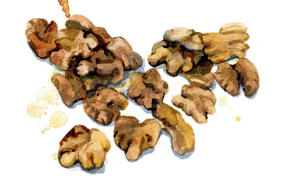 καρύδια-σκληρά-ημίσκληρα-ή-αφράτα-2224164