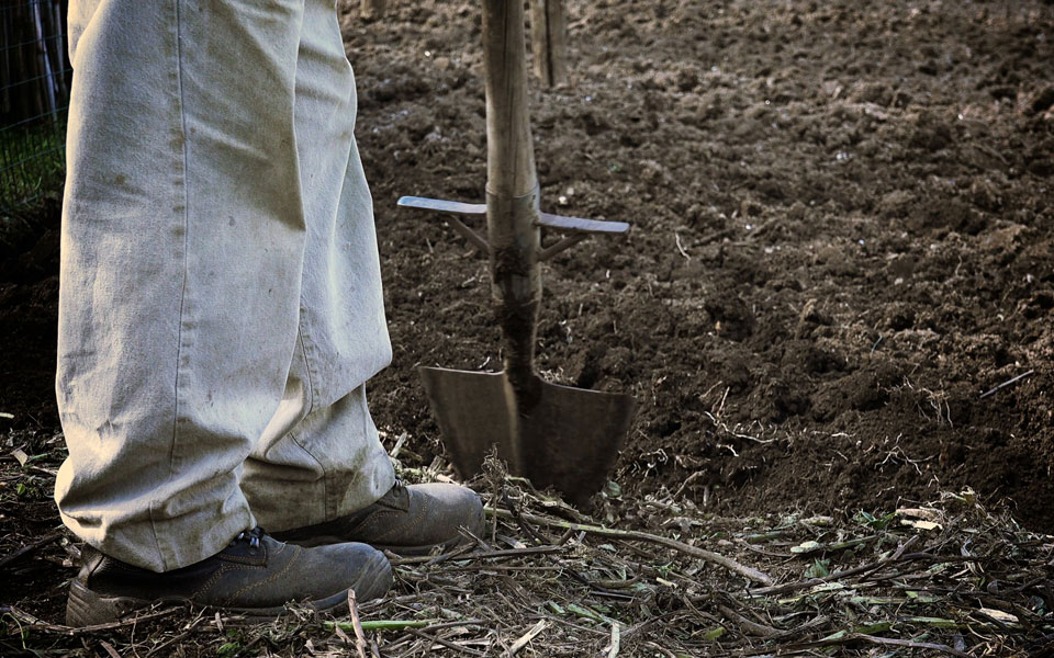 η-ξεχασμένη-γη-του-παππού-νικόλα-2220973