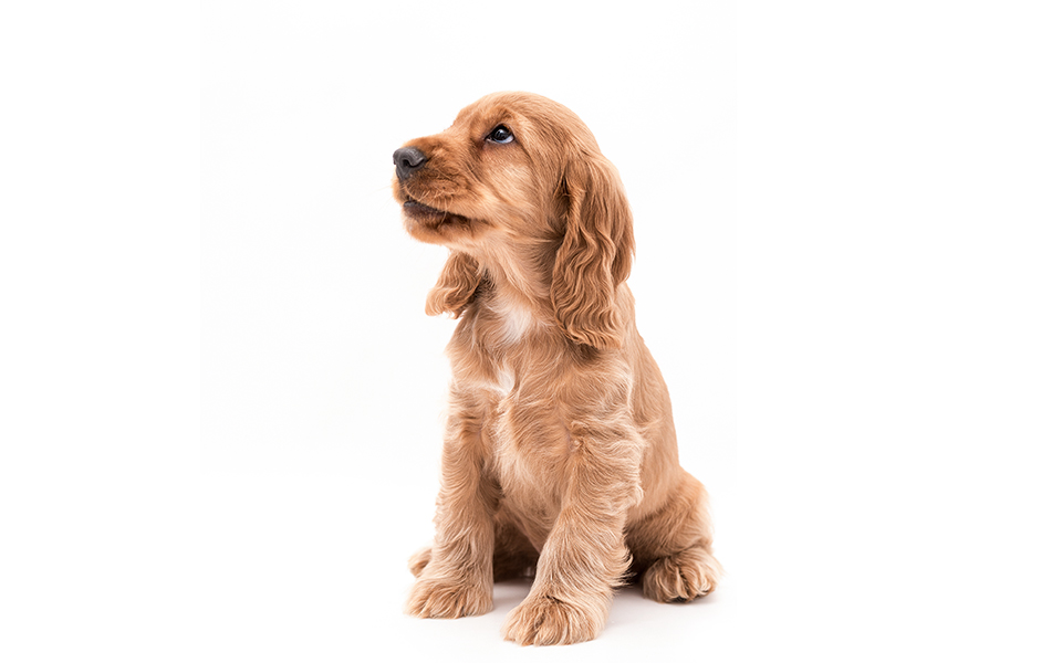 μια-άβολη-αλλά-εύλογη-απορία-2223697