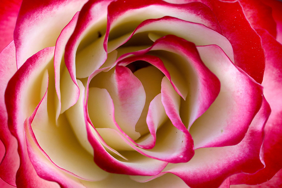 φωτογραφήματα-2226955