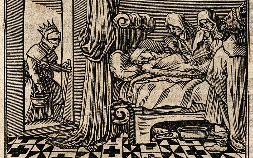 τα-παράσιτα-ευθύνονται-για-την-πανώλη-2228107