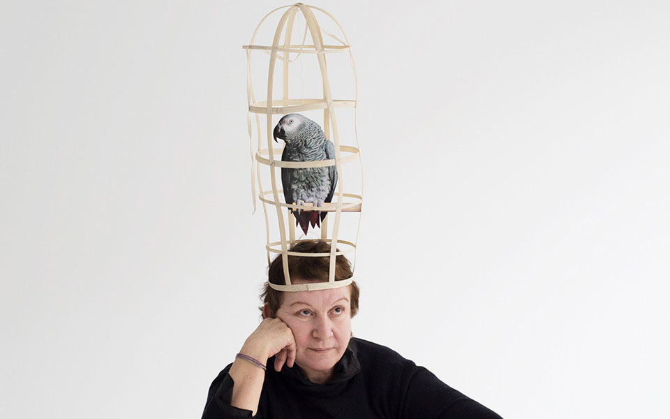 τελευταίες-πτήσεις-για-τον-παπαγάλλ-2228569