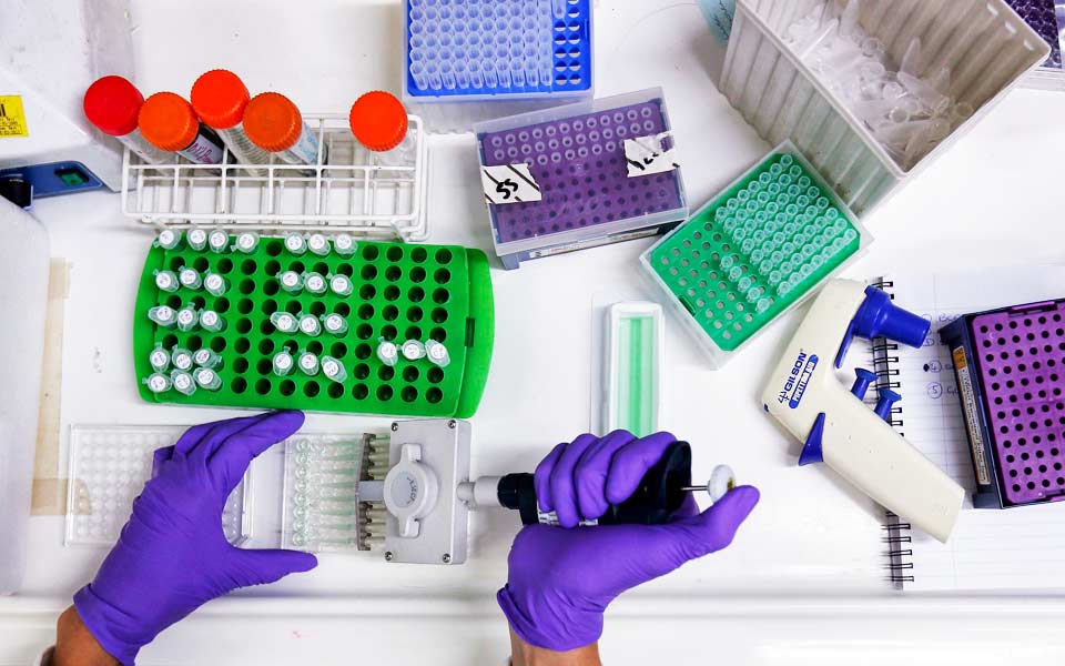 tέσσερα-βασικά-δομικά-στοιχεία-τα-lego-της-2229370