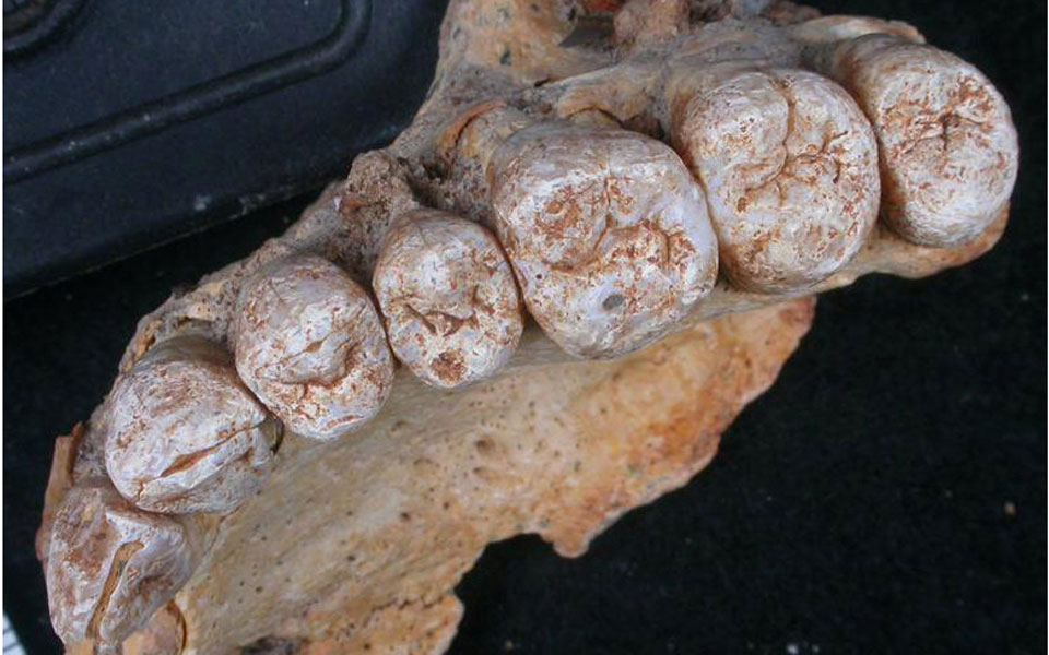 εντοπίστηκε-ο-αρχαιότερος-homo-sapiens-εκτός-αφ-2229727