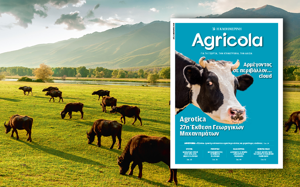 agricola-2228961