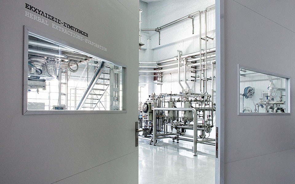 το-θαύμα-της-λευκής-πεύκης-2230477