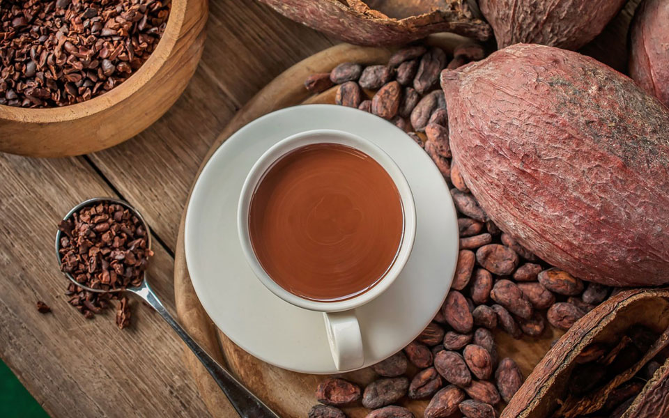 κακάο-το-θεϊκό-ρόφημα-2230515