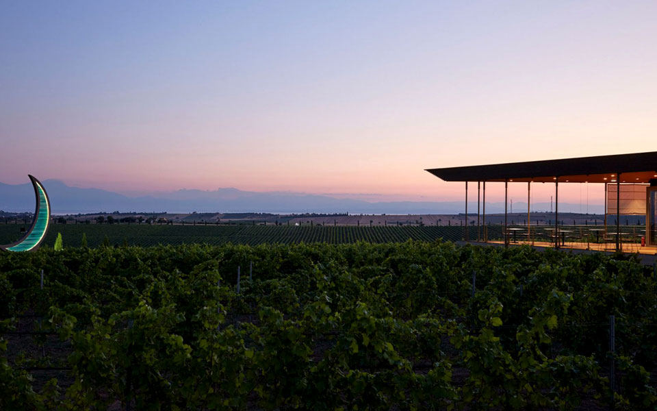 kτήμα-γεροβασιλείου-χαρμάνια-που-μαγε-2227714