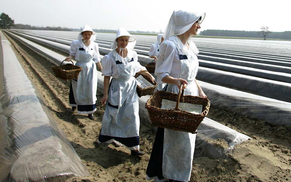 ουσία-των-τροφίμων-ευνοεί-τις-καρκινι-2232524