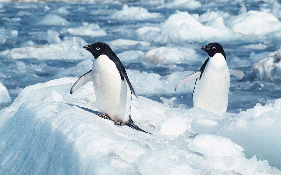 ομάδα-επιστημόνων-στην-παγοκρηπίδα-λ-2234643