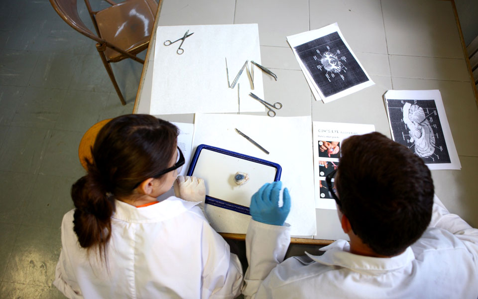 εκπαίδευση-και-χαρισματικότητα-τάσ-2234681