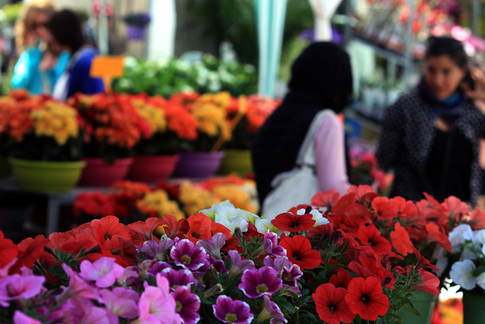 φυτά-προς-ενοικίαση-στη-γερμανία-2236079
