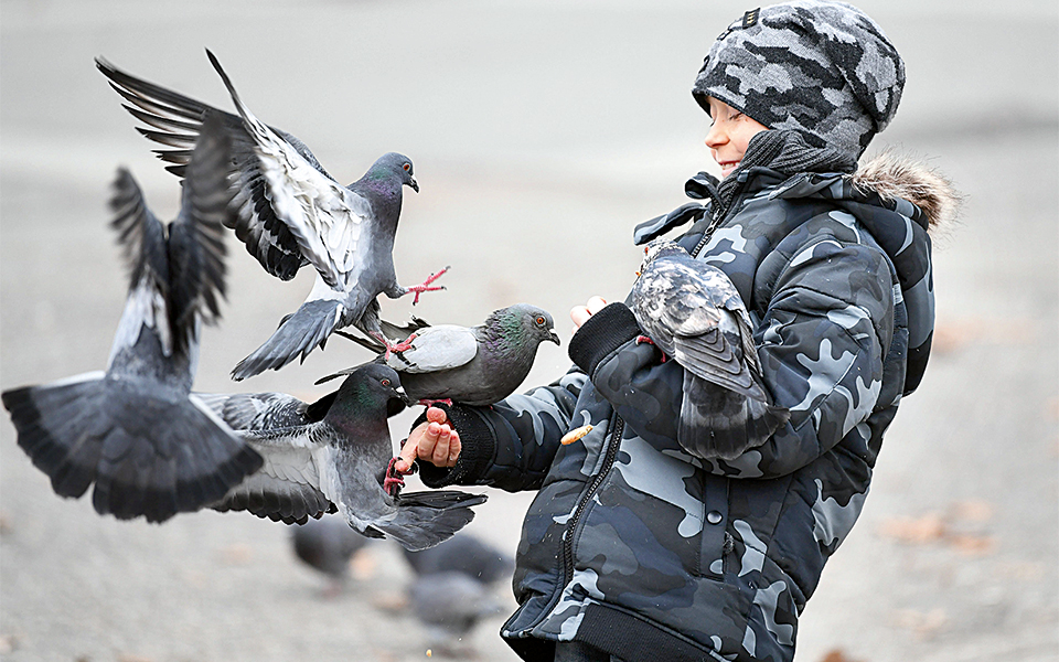 όλοι-θα-πάρετε-2231219