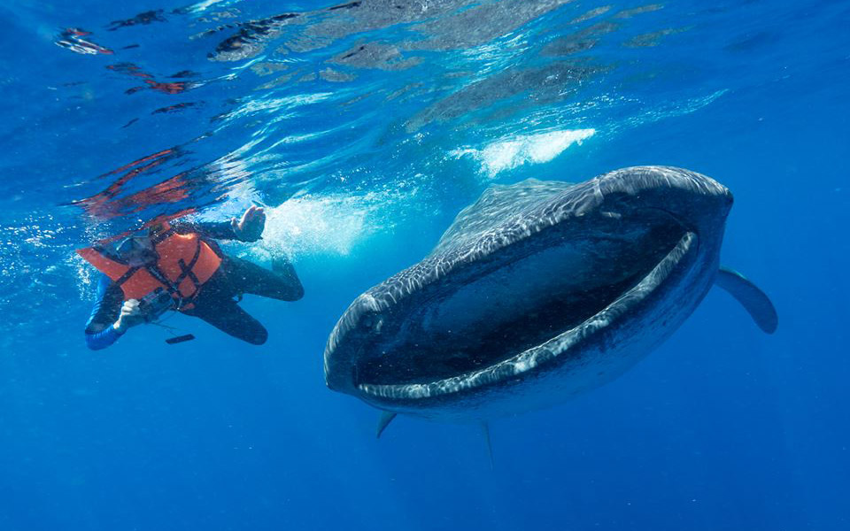 μόλυνση-από-πλαστικό-οι-επιστήμονες-ζ-2231621