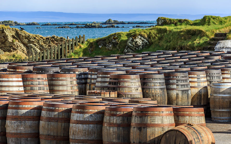 ερωτευμένοι-με-το-ουίσκι-2233023