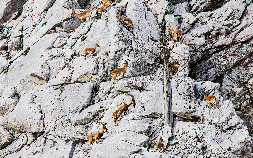 aττάλεια-τουρκία-2237742