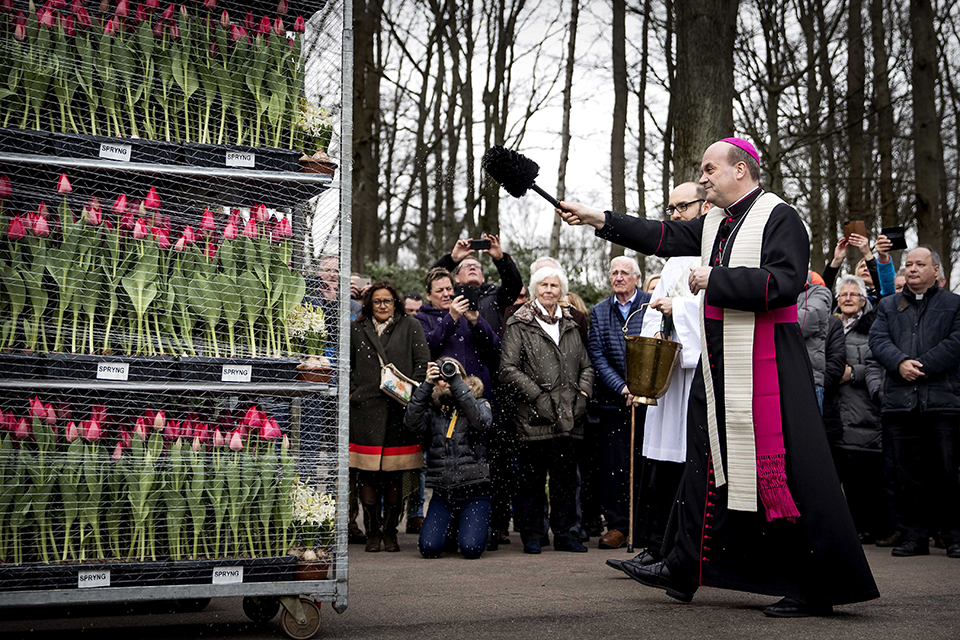 φωτογραφήματα-2241285