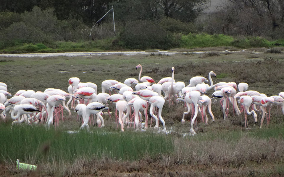 εντυπωσιακές-εικόνες-από-την-άφιξη-τω-2241914